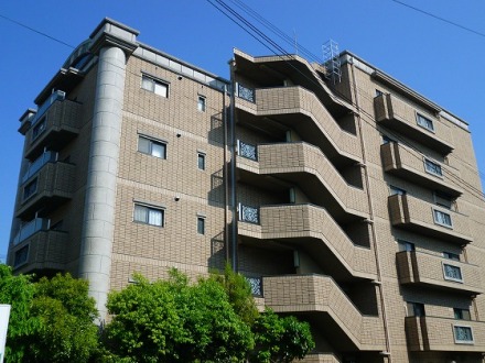 1015-1-113008.jpg