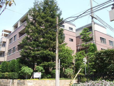 298-3-182155.jpg