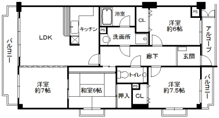 969-2-181050.jpg
